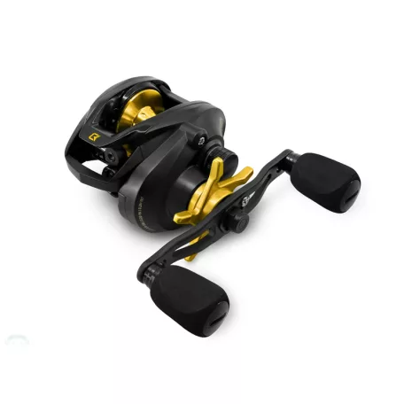 Delphin ZANDERA 5+1BB