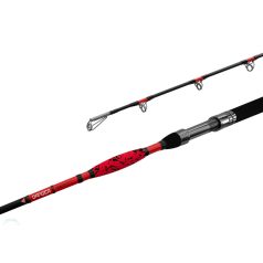 Delphin DANGER CatFISH 255cm/350g/2rész