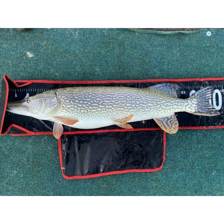 Reiva Halmérő matrac 1.30m  AKCIÓ -20%