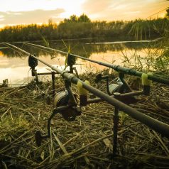 Feeder Bottartó készlet ECO 40-70cm