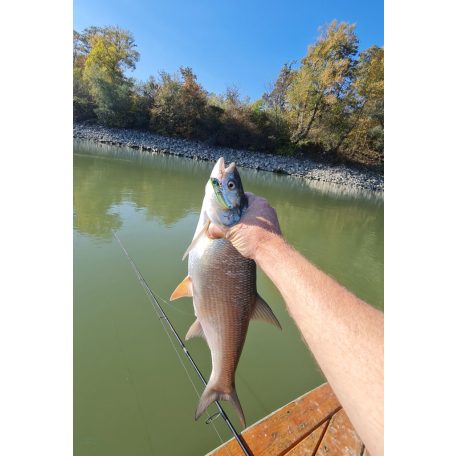 Blademaster 14g (Sunrise)