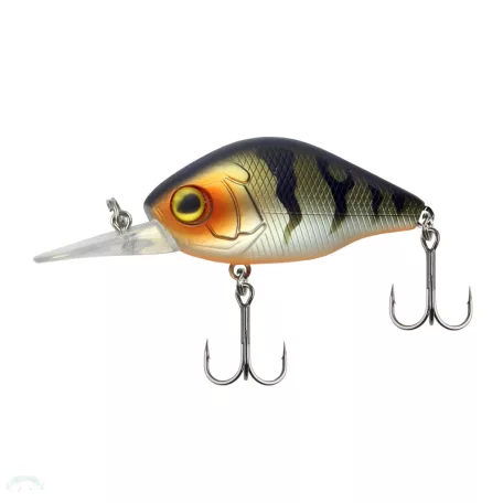 Chubby Special 45 Mat Tiger