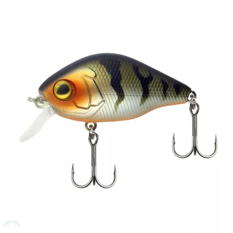 Chubby Junior 45 Mat Tiger