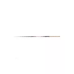 SPICCTAG CARP EXPERT TELEMATCH 4,20M