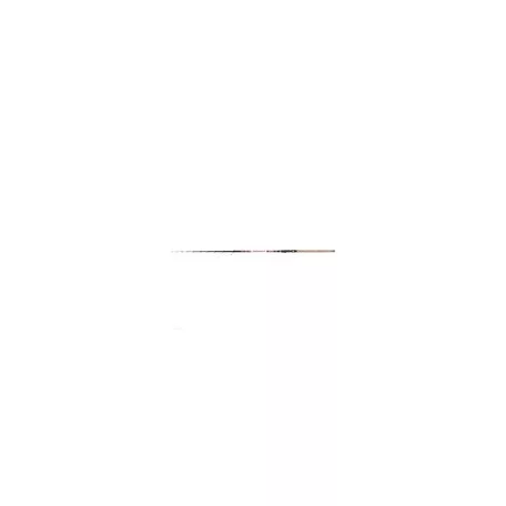 SPICCTAG CARP EXPERT TELEMATCH 4,20M