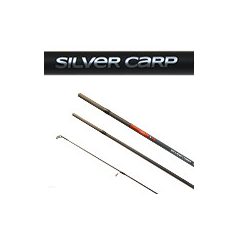 BOT CARP EXPERT SILVER CARP POWER FLOAT 3.9M 70-120g