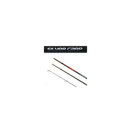 BOT CARP EXPERT SILVER CARP POWER FLOAT 3.9M 70-120g
