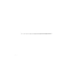   SPICC (12345) BENZAR NO LIMIT METHOD FEEDER PIROS 5OZ 1,45*520*4,1 MM