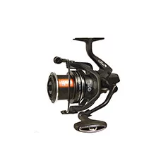 CARP EXPERT SCORE METHOD 5500