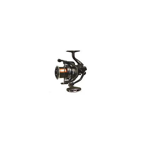 CARP EXPERT SCORE METHOD 5500