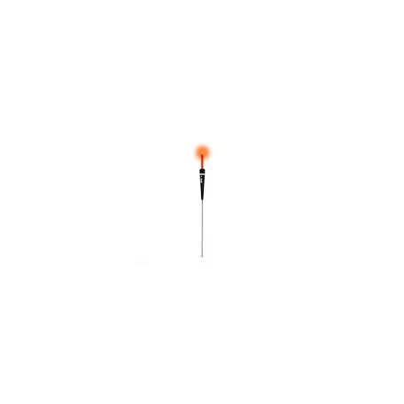 IBITE CARROT 2G
