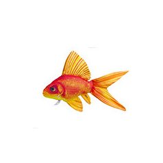 HALAS PÁRNA ARANYHAL 50CM