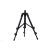 CARP EXPERT MINI TRIPOD