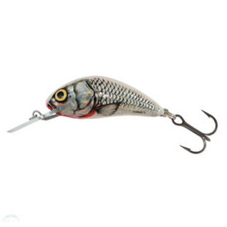 SALMO WOBBLER HORNET H2S SWS