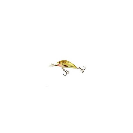 SALMO WOBBLER HORNET H5F D