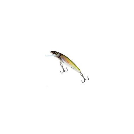 SALMO WOBBLER MINNOW M5F D