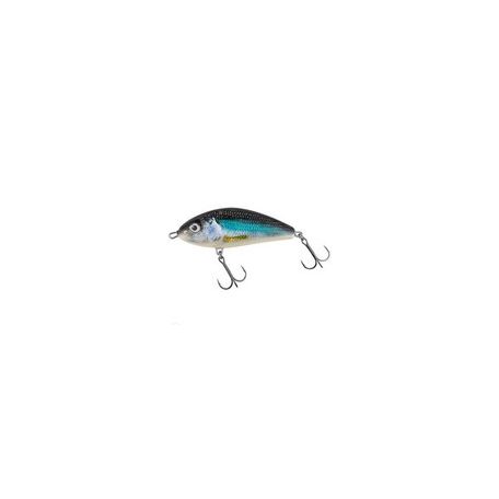 SALMO WOBBLER FATSO F10F RR