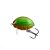 SALMO WOBBLER LIL BUG BG3F BBG