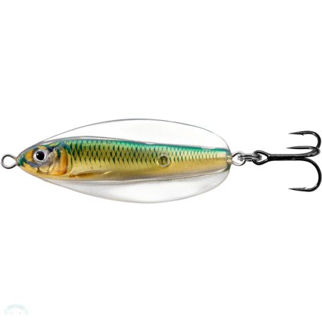 LIVETARGET ERRATIC SHINER SPOON GOLD/GREEN55 MM 11 G