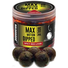   Haldorádó MAX MOTION Boilie Dipped 20 mm - Fűszeres Vörös Máj