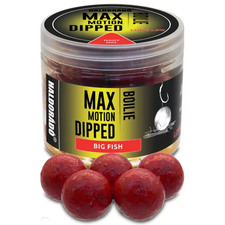 Haldorádó MAX MOTION Boilie Dipped 20 mm - Nagy Hal