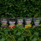 Stég Bionic Boilies 800g 20mm Corn-Nbutyric